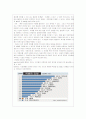 미혼모 실태 보고서 3페이지