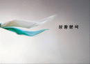 [파워포인트]대한항공 매체전략 2페이지