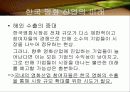 한국영화산업 34페이지