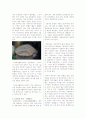 경상북도 경산시 하양읍 은호리에 소재한 스트로마톨라이트 화석 2페이지