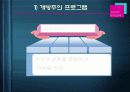 일본, 미국의 유아교육과정 15페이지