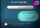 일본, 미국의 유아교육과정 22페이지