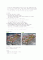서울특별시 뉴 타운 사업 평가 8페이지