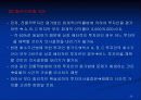 확실성하에서의 투자의사 결정에 관하여 24페이지