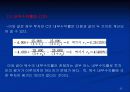 확실성하에서의 투자의사 결정에 관하여 35페이지