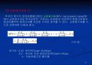 확실성하에서의 투자의사 결정에 관하여 37페이지