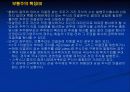 주식의 평가에 대하여 11페이지