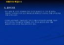 주식의 평가에 대하여 13페이지