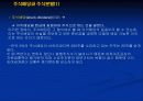 주식의 평가에 대하여 27페이지
