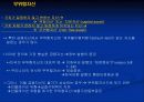 포트폴리오이론과위험자산에 관하여 27페이지