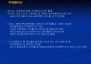 포트폴리오이론과위험자산에 관하여 28페이지
