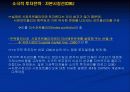 포트폴리오이론과위험자산에 관하여 30페이지