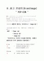 중국 자동차 시장에 대한 광고전략(뉴프라이드) 12페이지