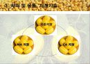 참외의 수확후 관리 요람 발표 9페이지