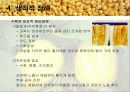 참외의 수확후 관리 요람 발표 12페이지
