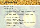 참외의 수확후 관리 요람 발표 15페이지
