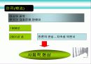 한류관광 4페이지