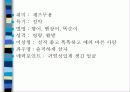 내가 좋아하는 강성연 3페이지
