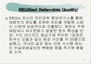 BBQ의 마케팅 성공전략분석 7페이지