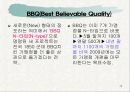 BBQ의 마케팅 성공전략분석 13페이지