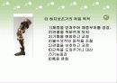 하지보조기 3페이지