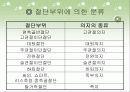하지보조기 5페이지