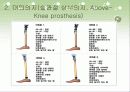 하지보조기 20페이지