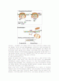 DNA, RNA 구조 및 차이점 분석 - DNA 디옥시리보핵산, 리보핵산, RNA의 구조, DNA와 RNA관계 7페이지