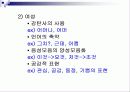 성공적인 연애와 남녀 대화 차이 14페이지