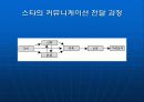 연예인의 인기에 따른 광고효과  6페이지