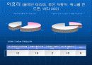 연예인의 인기에 따른 광고효과  12페이지
