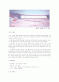 [청소년]씨랜드 청소년수련원 화재 2페이지