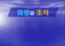 해안지형 2페이지