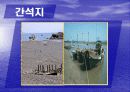 해안지형 12페이지