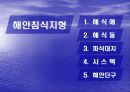 해안지형 13페이지