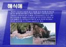 해안지형 14페이지