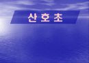 해안지형 20페이지