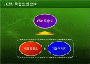 CSR분석 및 실행전략 3페이지