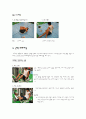 테니스에서필요로하는신체적요소 6페이지