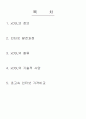 XDSL의 정의 1페이지