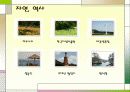펜션  사례조사 31페이지