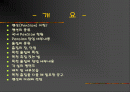 펜션  사례조사 2페이지