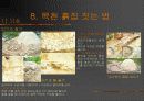 펜션  사례조사 17페이지