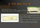 펜션  사례조사 23페이지