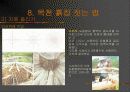 펜션  사례조사 28페이지