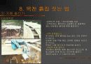 펜션  사례조사 29페이지