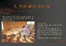 펜션  사례조사 37페이지