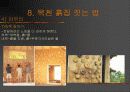 펜션  사례조사 39페이지