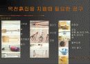 펜션  사례조사 62페이지