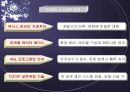 서울 하얏트호텔의 소개와 마케팅 전략 분석(A+) 11페이지